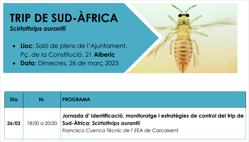 Jornada d' identificació, monitoratge i estratègies de control del trip de Sud-Àfrica: Scirtothrips aurantii (26.03.2025, Alberic)